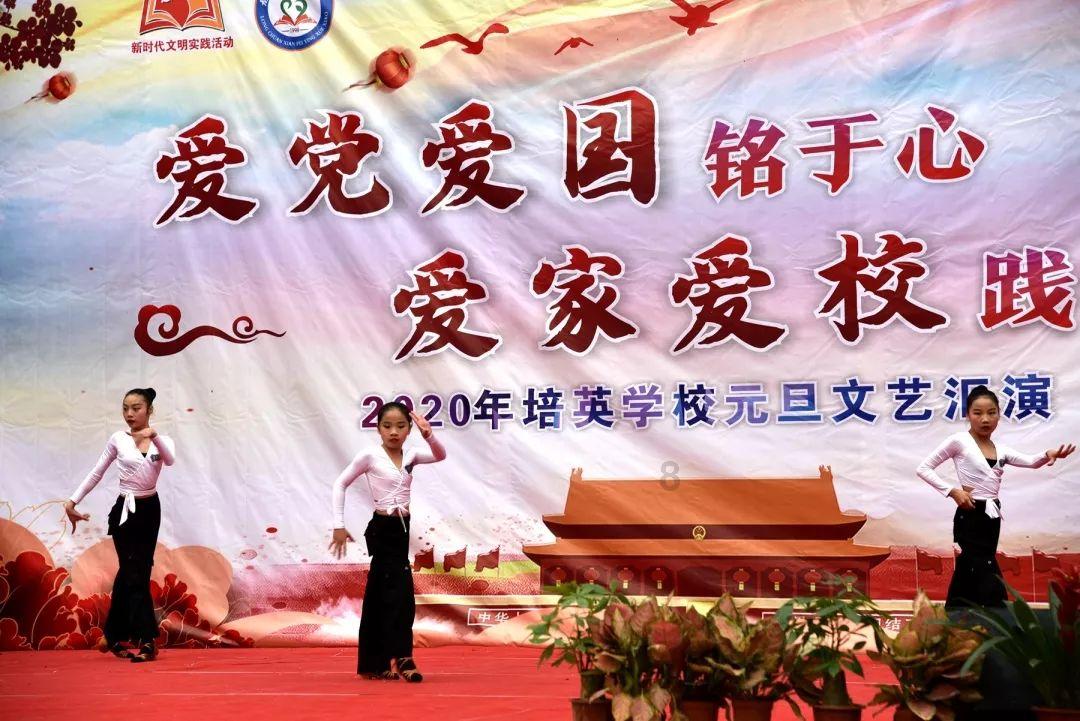 救援小犬立苏